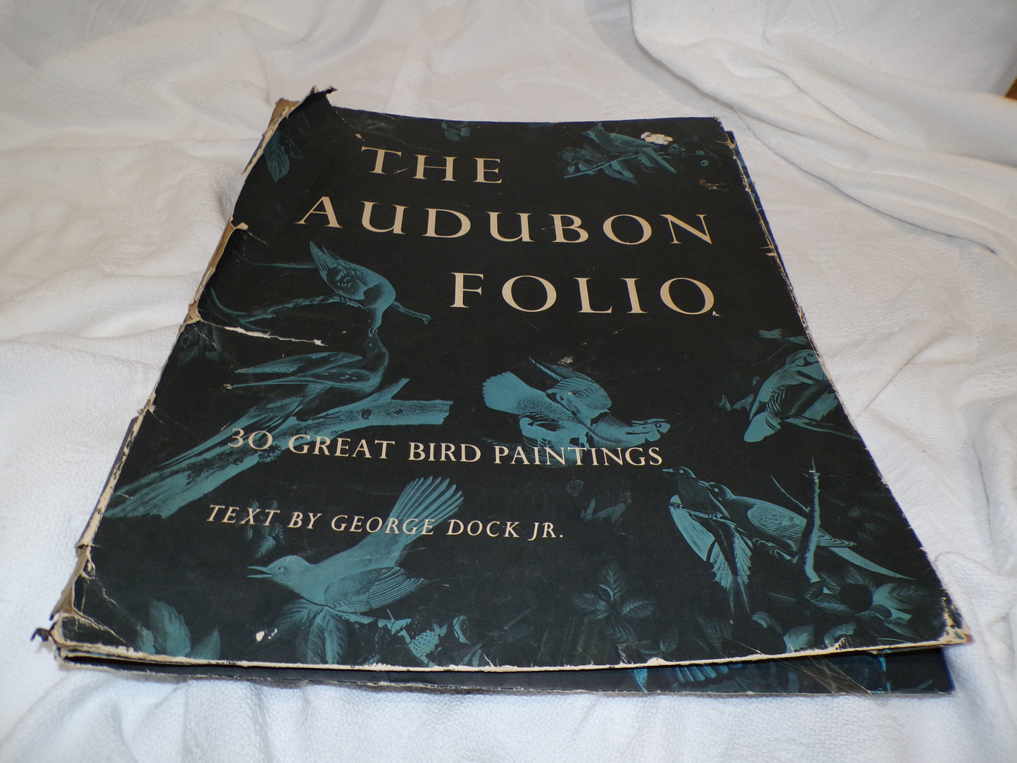 A range of plates from the Audubon Collection