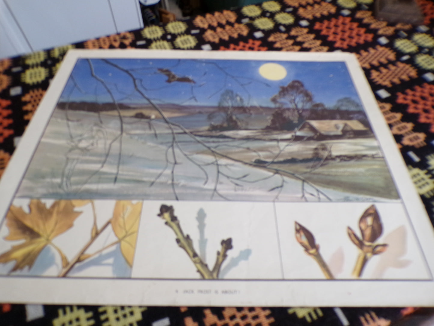 A selection of Vintage mid C educational posters
