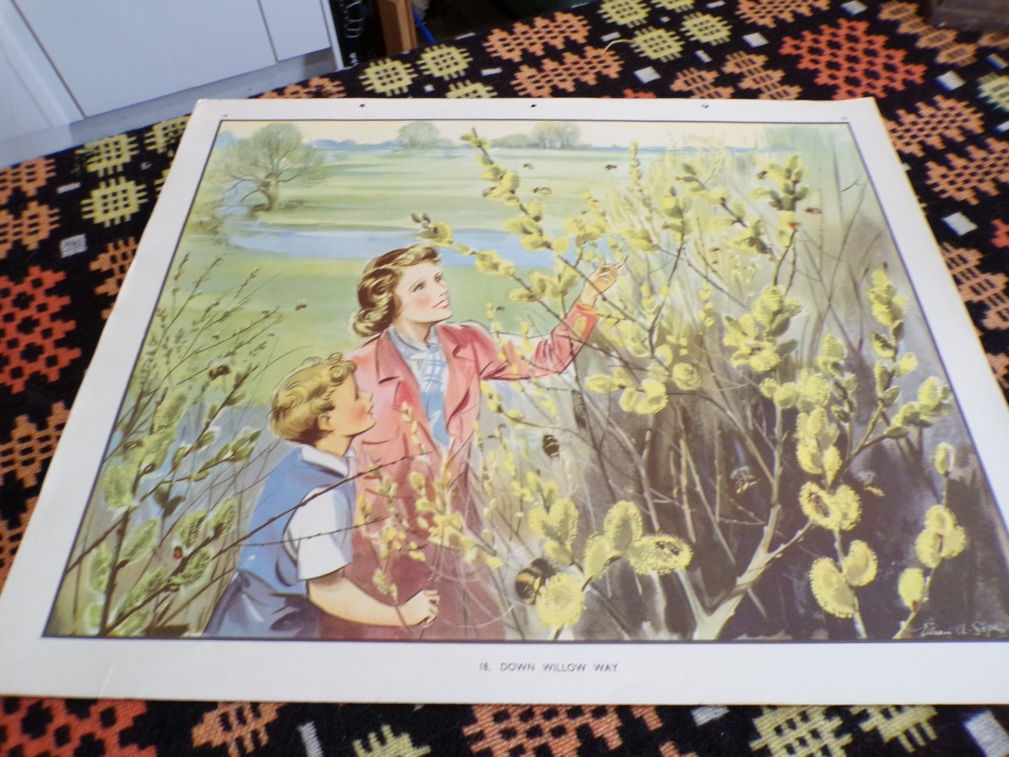 A selection of Vintage mid C educational posters