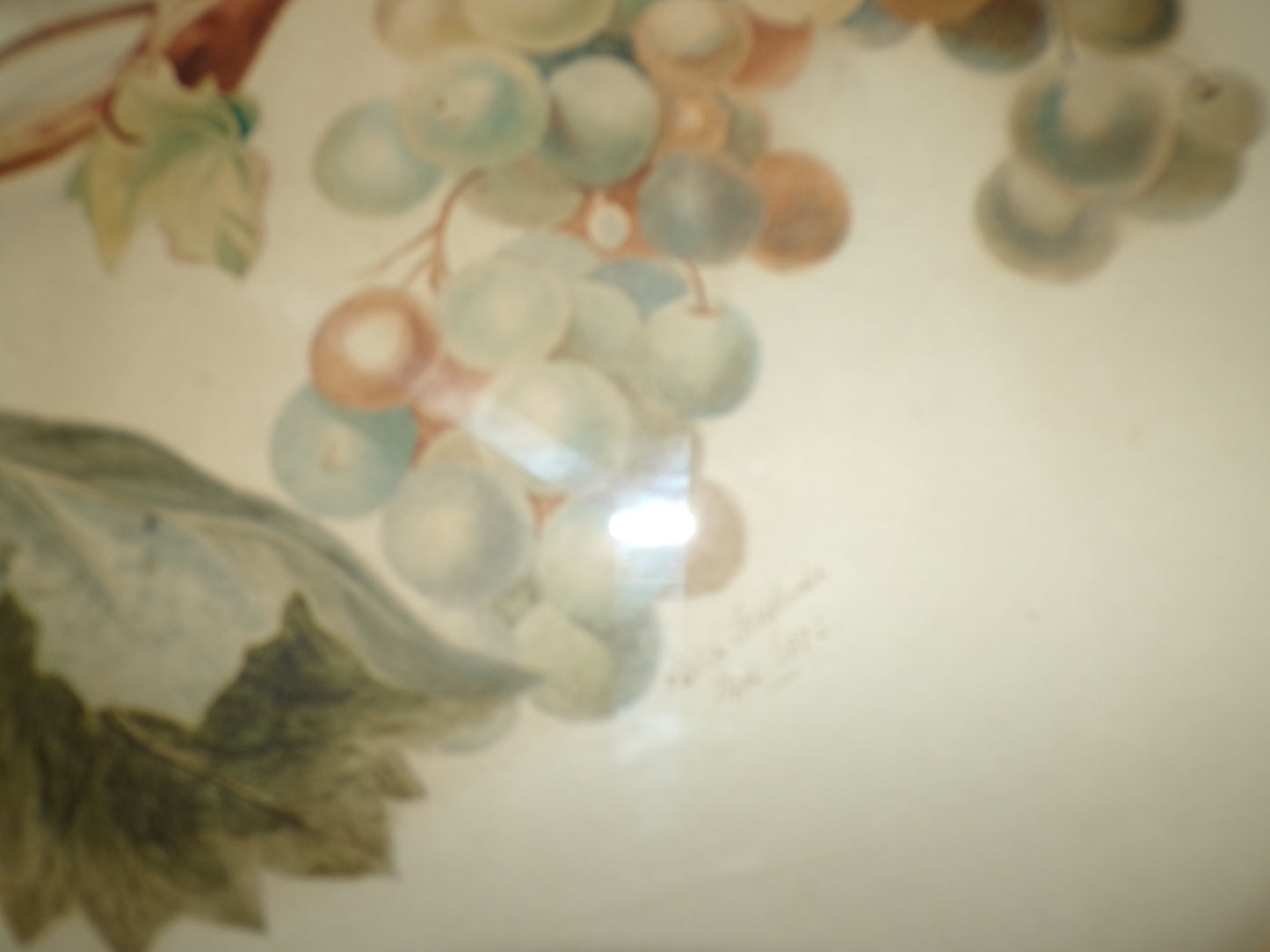 Edwardian gilt framed still life fruit water colour - signed