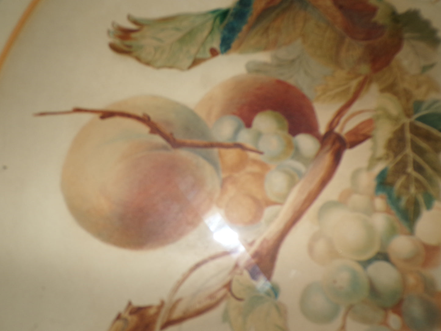 Edwardian gilt framed still life fruit water colour - signed