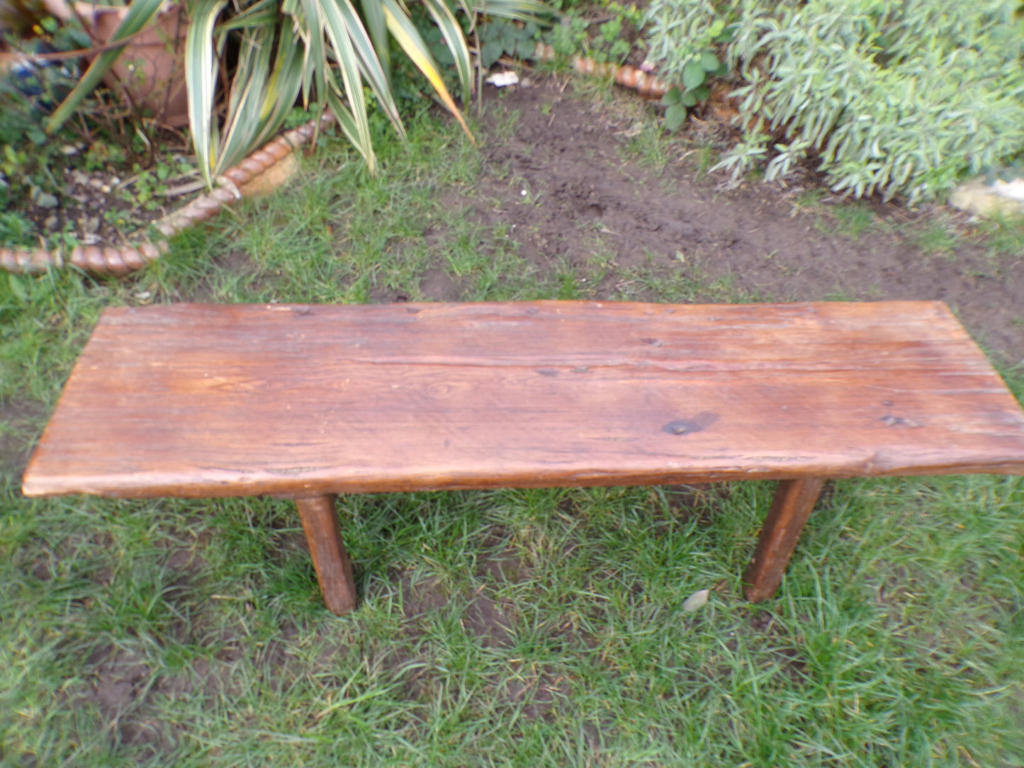 Rustic oak bench
